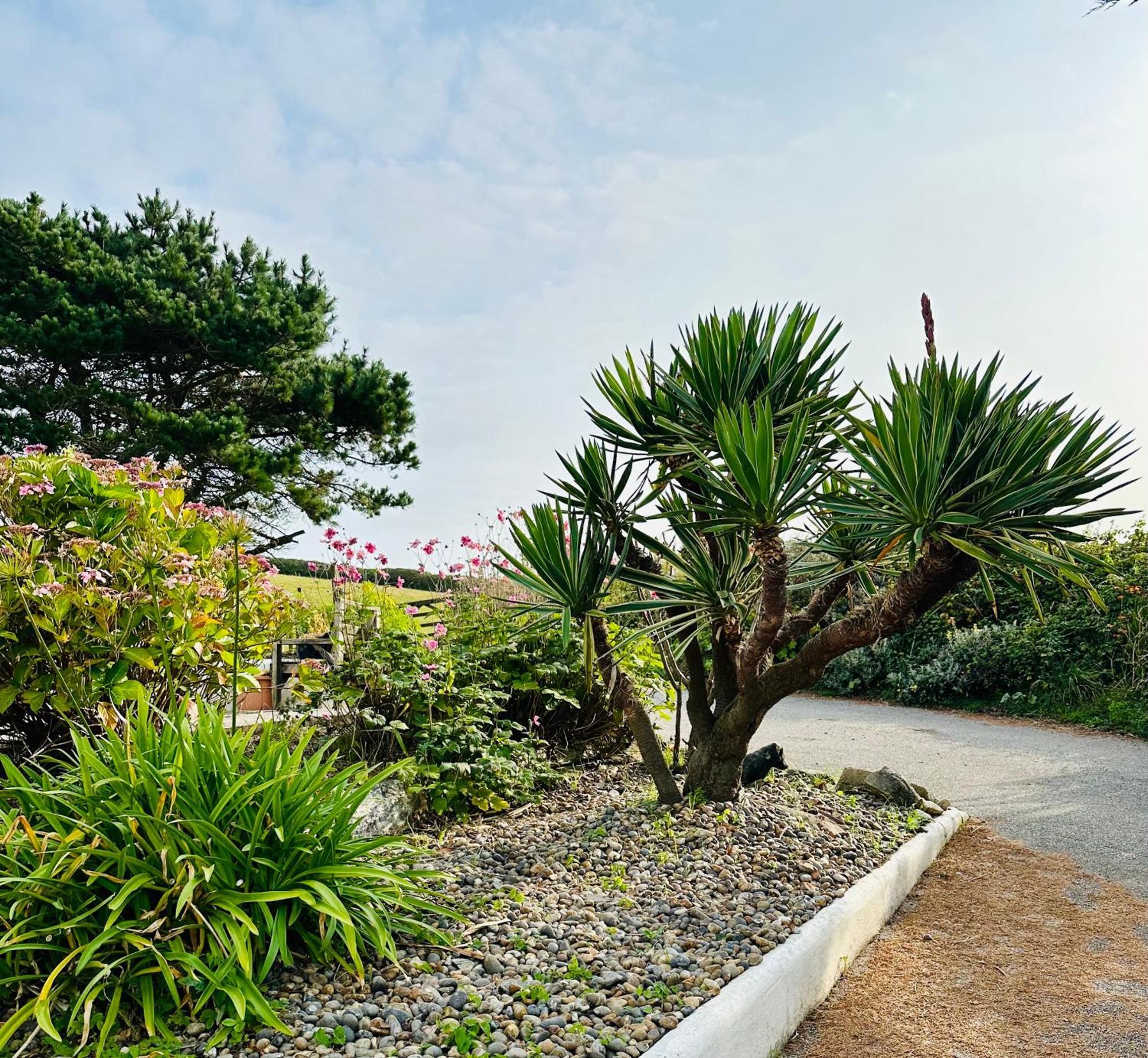 Holiday home Cosy Nook Perfect Family & Getaway